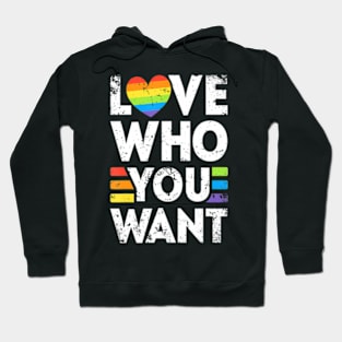 Gay Christmas  LGBT  Holigays Party Hoodie